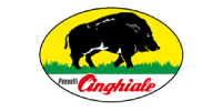 Cinghiale